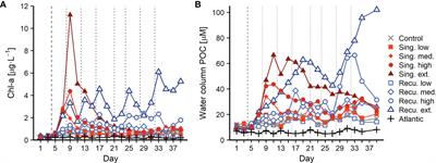 The importance of the dissolved organic matter pool for the carbon sequestration potential of artificial upwelling